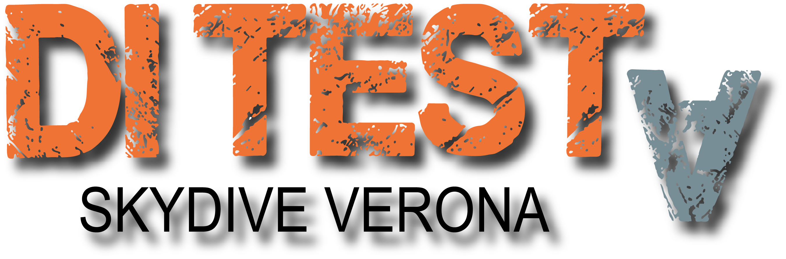 Website  Logo